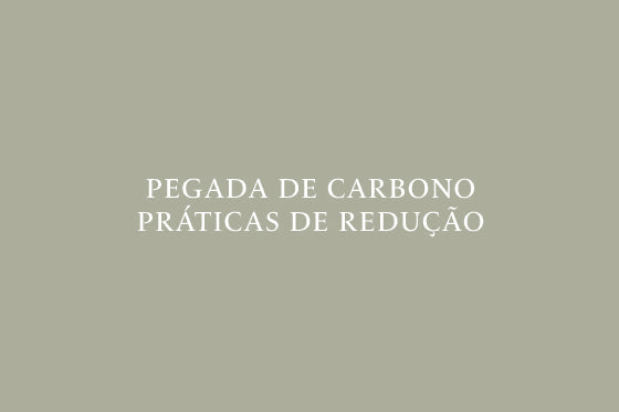Imagem do card hover